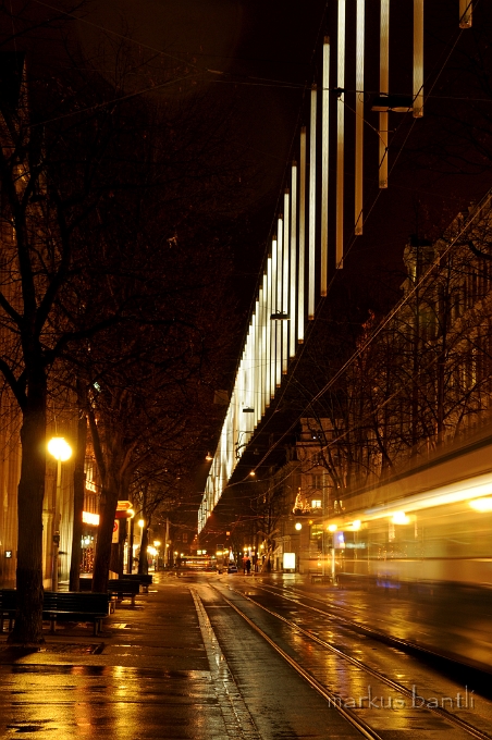 DSC_6237.jpg