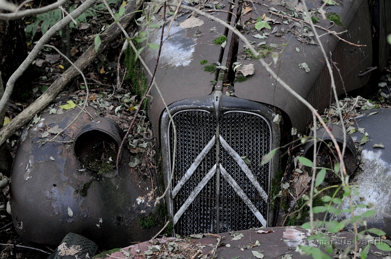 DSC_4846.JPG