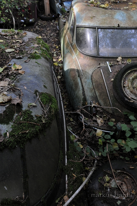DSC_4897.JPG