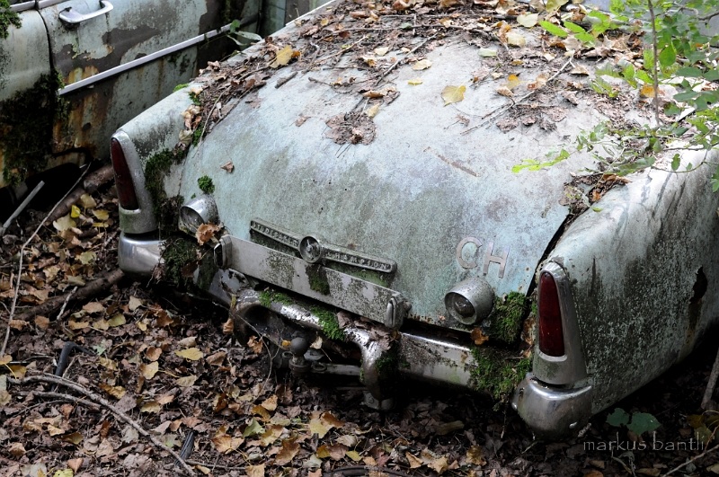 DSC_4929.JPG
