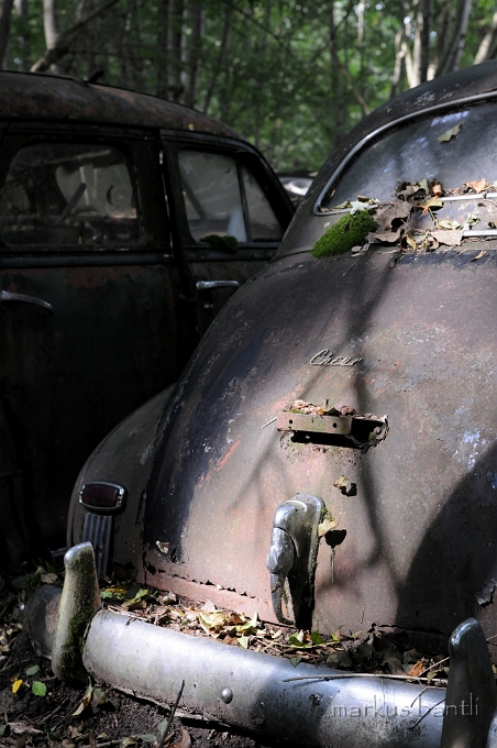 DSC_4975.JPG