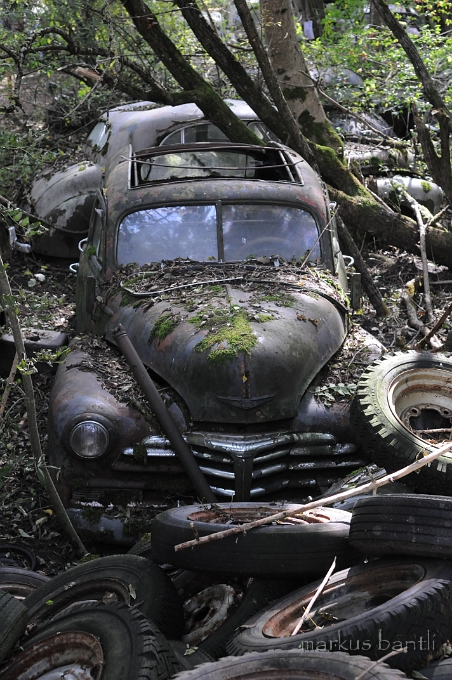 DSC_4977.JPG