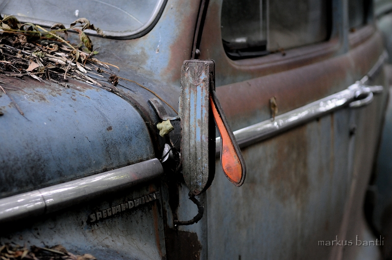 DSC_4982.JPG