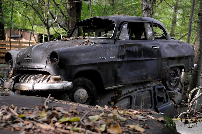 DSC_4988.JPG