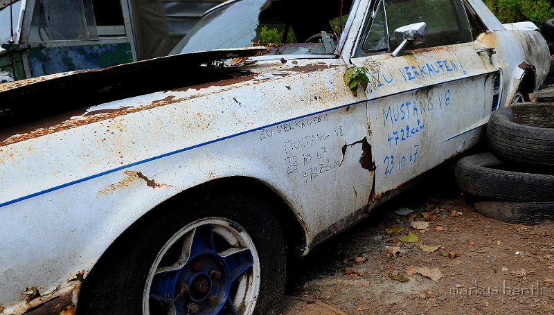 DSC_5020.JPG