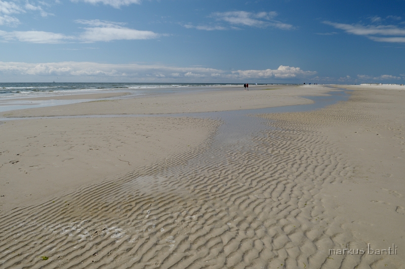 DSC_2654.jpg