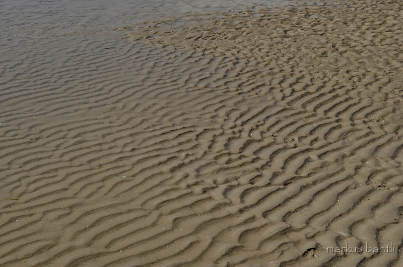 DSC_2658.jpg