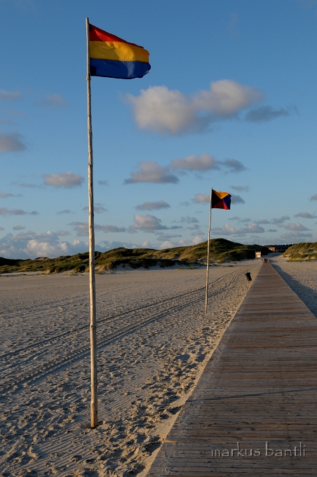 DSC_2668.jpg