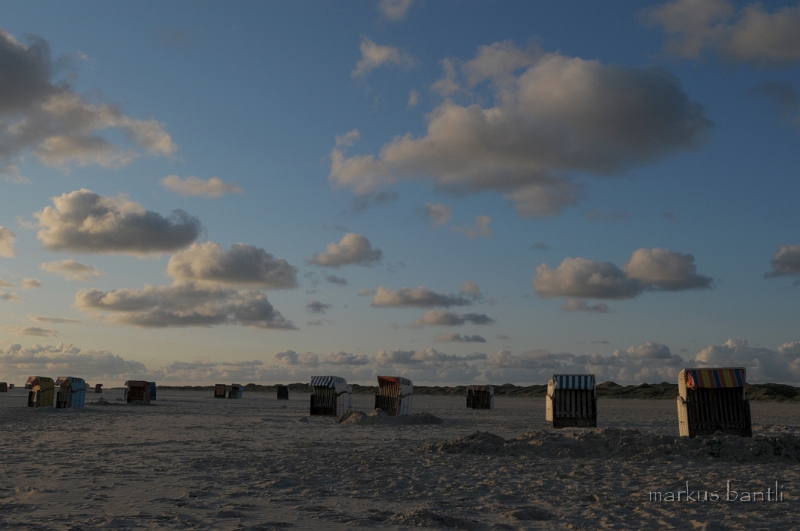 DSC_2671.jpg