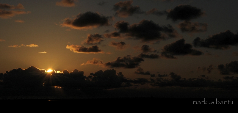 DSC_2703.jpg