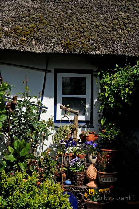 DSC_2764.jpg