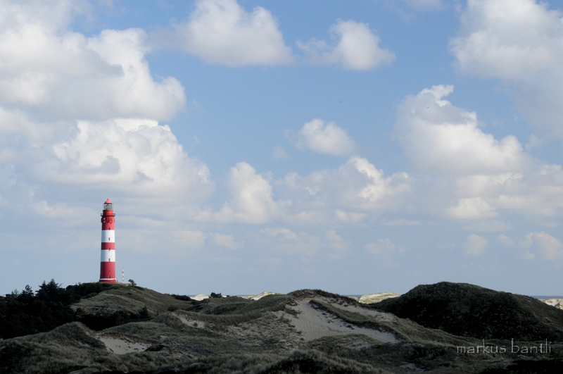 DSC_2767.jpg