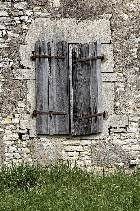 x_DSC4531.jpg