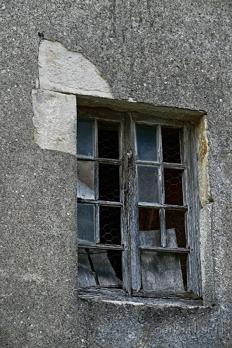 x_DSC4658.jpg