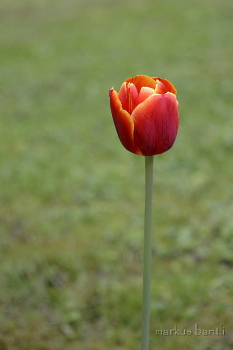 x_DSC4702.jpg