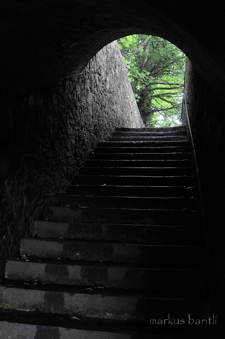 _DSC8863.jpg - This Way...