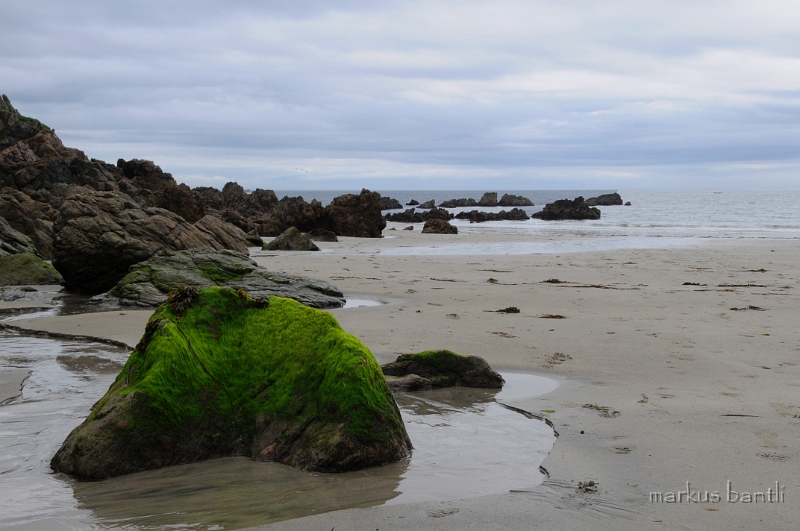 _DSC8905.jpg -  Petit Bot Bay