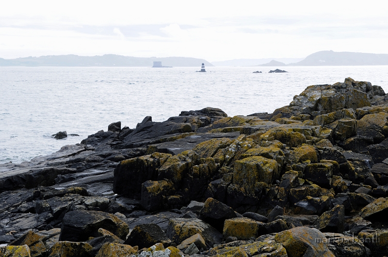 _DSC8931.jpg