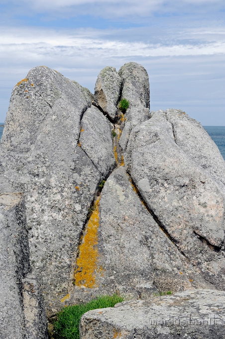 _DSC8980.jpg