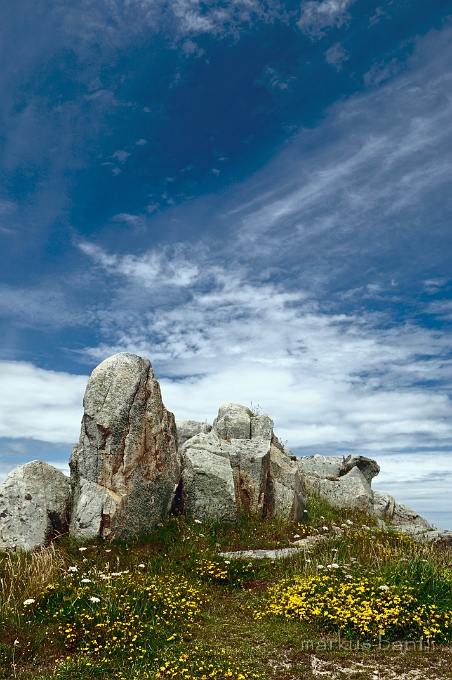 _DSC8985.jpg