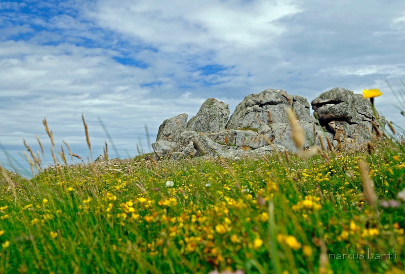 _DSC9003.jpg