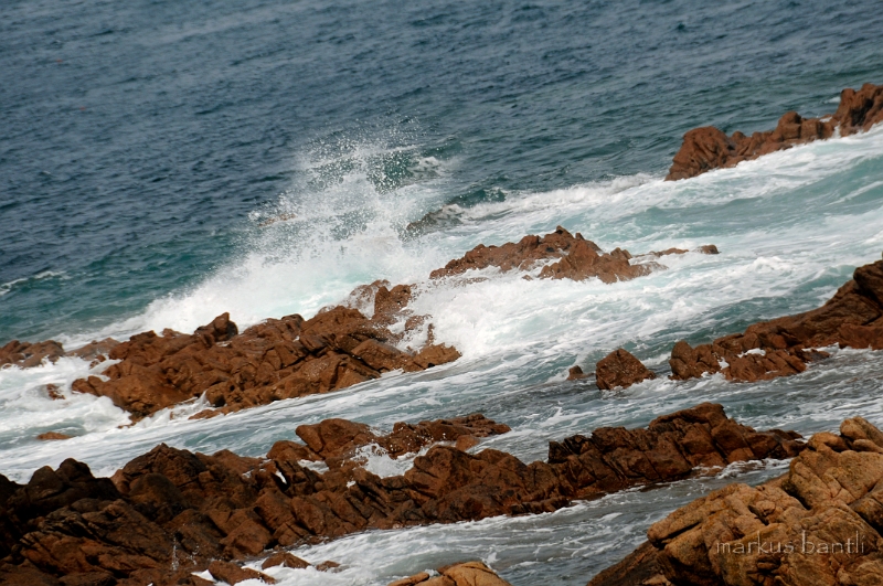 _DSC9013.jpg