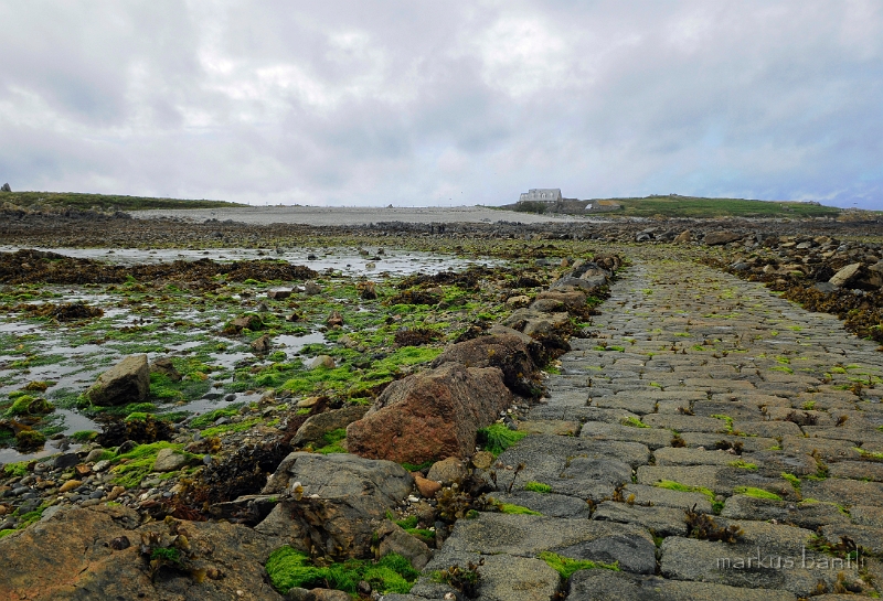 _DSC9038.jpg - auf dem Weg nach Lihou Island auf dem Meeresgrund...