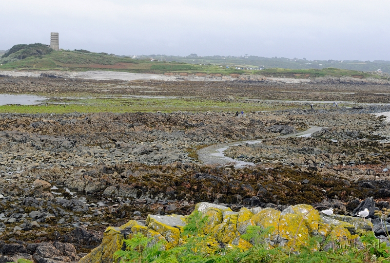 _DSC9039.jpg - Lihou Island