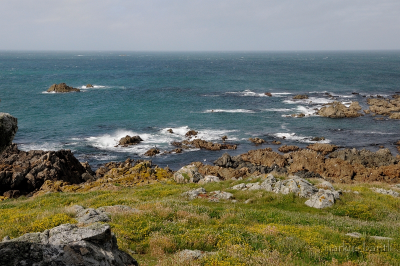 _DSC9046.jpg - Lihou Island