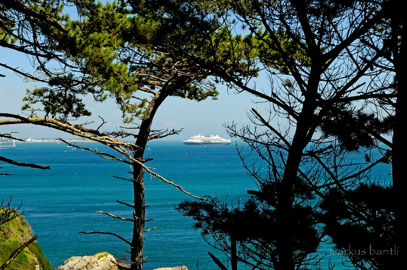 _DSC9079.jpg