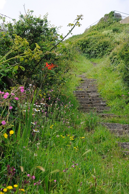 _DSC9080.jpg - Wanderweg auf Guernsey