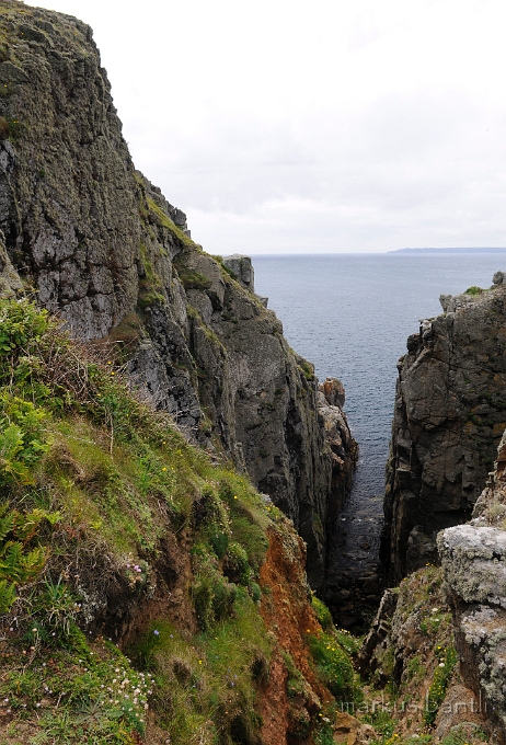 _DSC9138.jpg