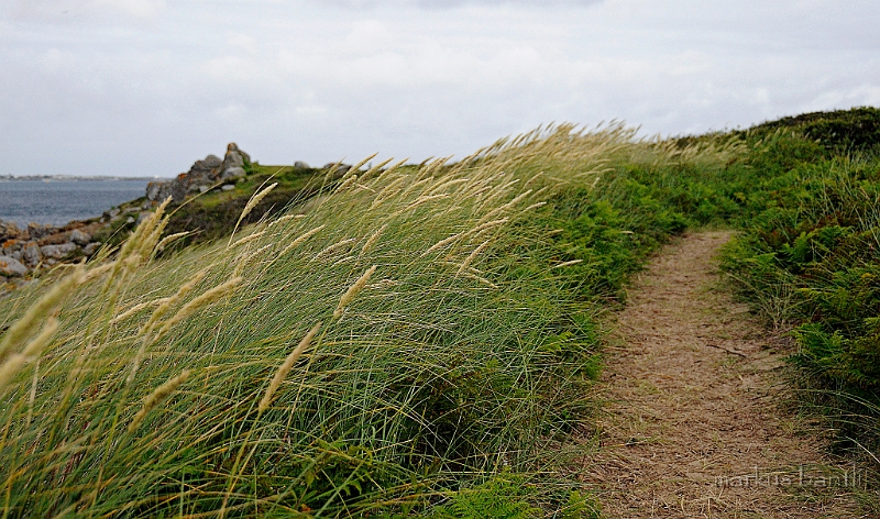 _DSC9162.jpg - Herm