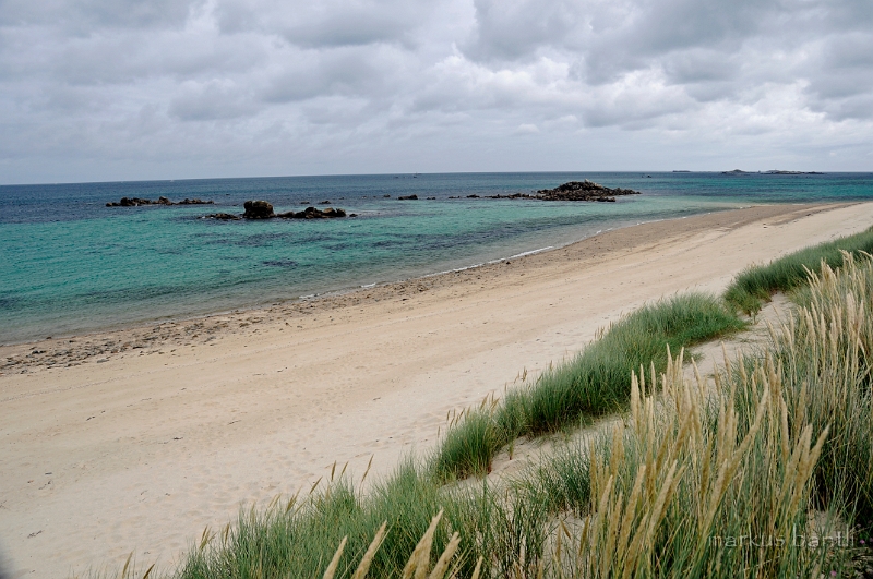 _DSC9170.jpg - Herm