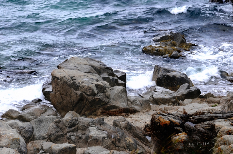 _DSC9207.jpg