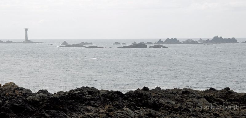 _DSC9245.jpg