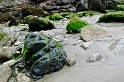 _DSC8906