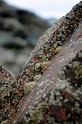_DSC8911