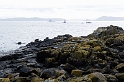 _DSC8931