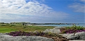 _DSC8957