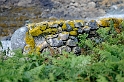 _DSC9048