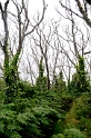 _DSC9098
