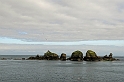 _DSC9147