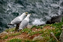 _DSC9193
