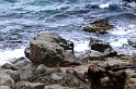 _DSC9207