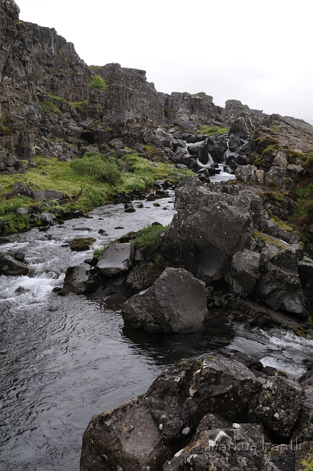 _DSC5476.JPG