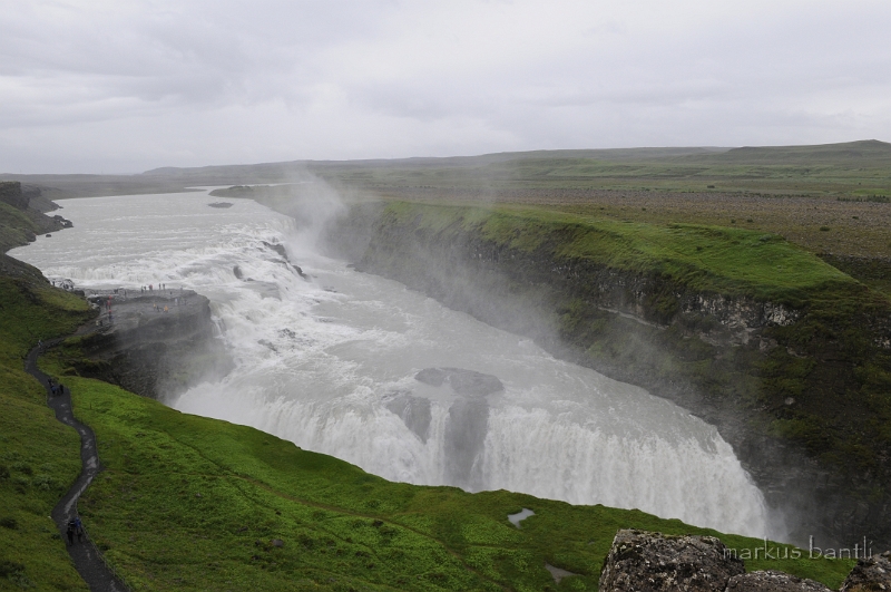 _DSC5506.JPG