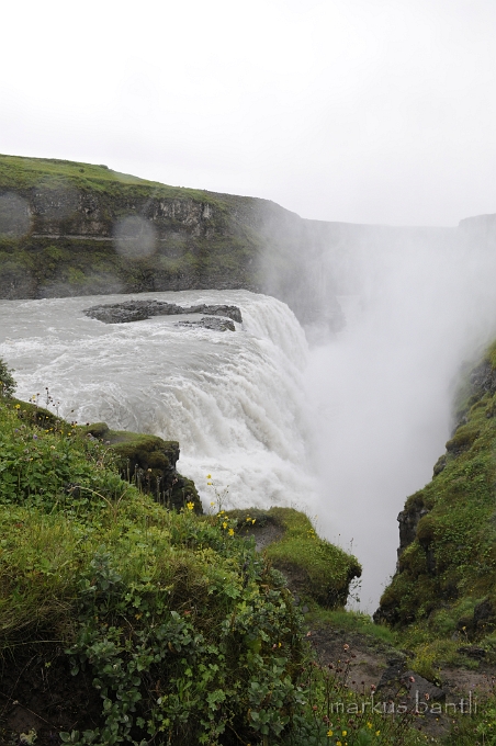 _DSC5514.JPG