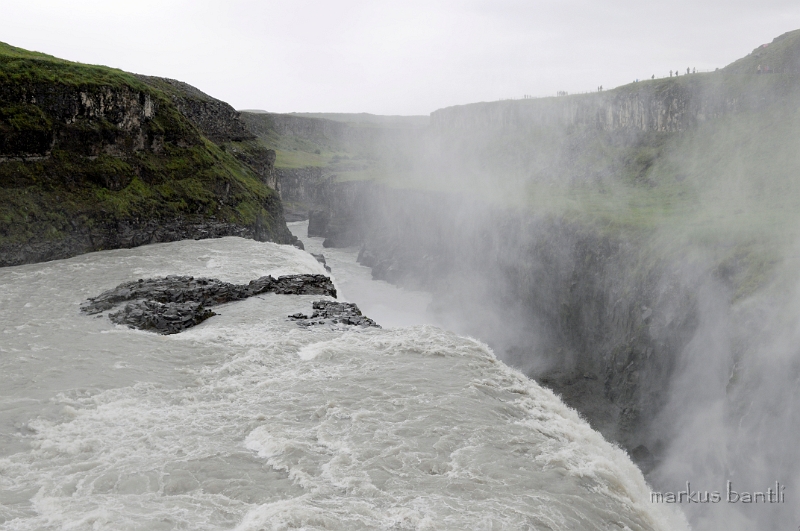 _DSC5527.JPG