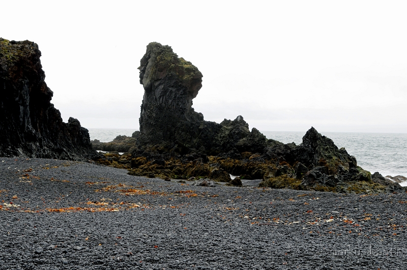 _DSC5578.JPG